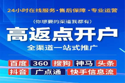 某电商平台的SEM推广策略分析